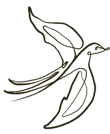 Volière d’oiseaux