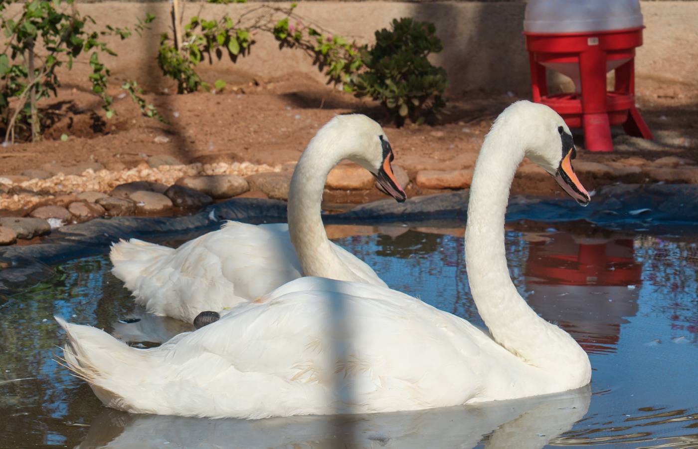 The Ocher Garden in Pictures